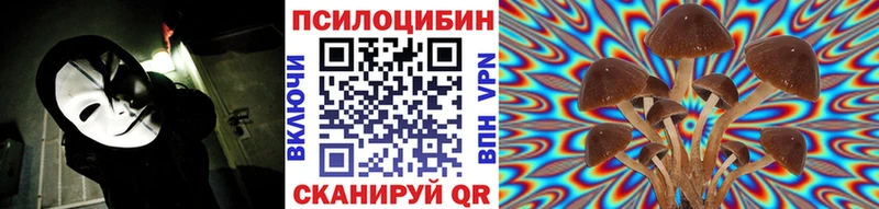 Псилоцибиновые грибы MAGIC MUSHROOMS  наркошоп  Бирюсинск 
