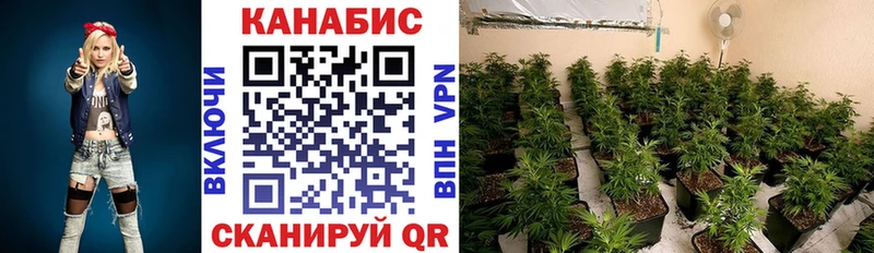 Бошки марихуана THC 21%  Бирюсинск 
